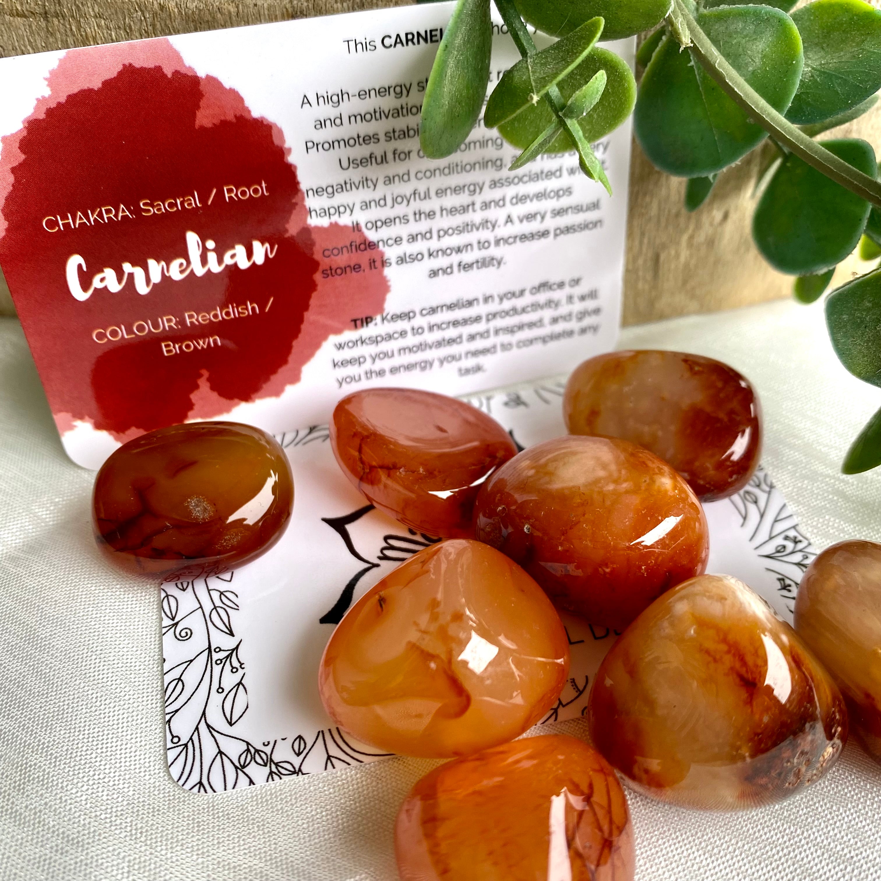 - Carnelian